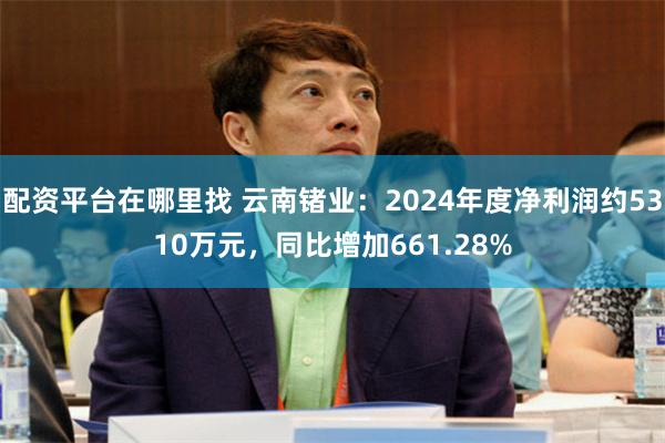 配资平台在哪里找 云南锗业：2024年度净利润约5310万元，同比增加661.28%