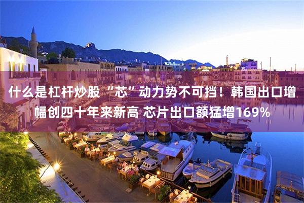 什么是杠杆炒股 “芯”动力势不可挡！韩国出口增幅创四十年来新高 芯片出口额猛增169%
