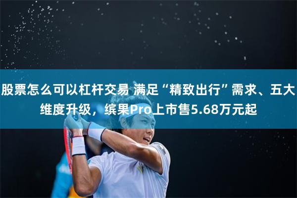 股票怎么可以杠杆交易 满足“精致出行”需求、五大维度升级，缤果Pro上市售5.68万元起