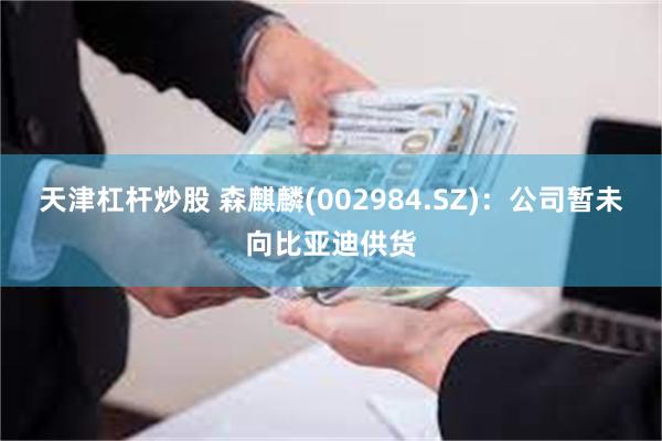 天津杠杆炒股 森麒麟(002984.SZ)：公司暂未向比亚迪供货