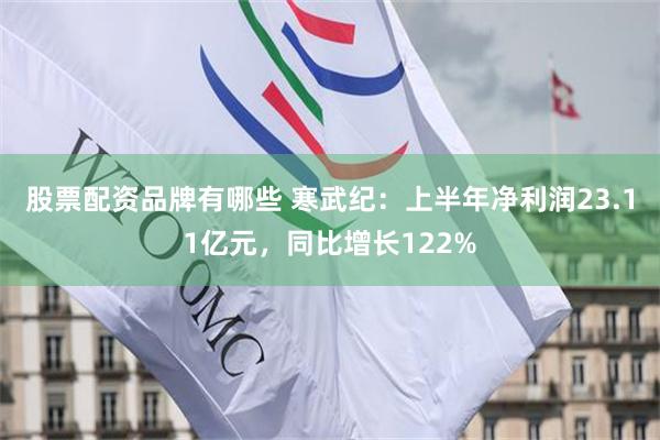 股票配资品牌有哪些 寒武纪：上半年净利润23.11亿元，同比增长122%