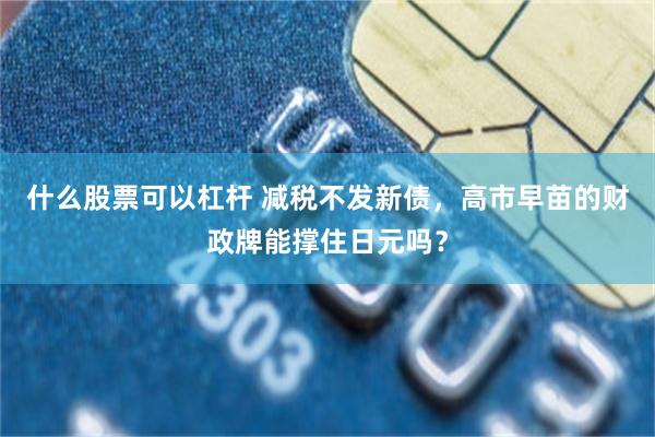 什么股票可以杠杆 减税不发新债，高市早苗的财政牌能撑住日元吗？